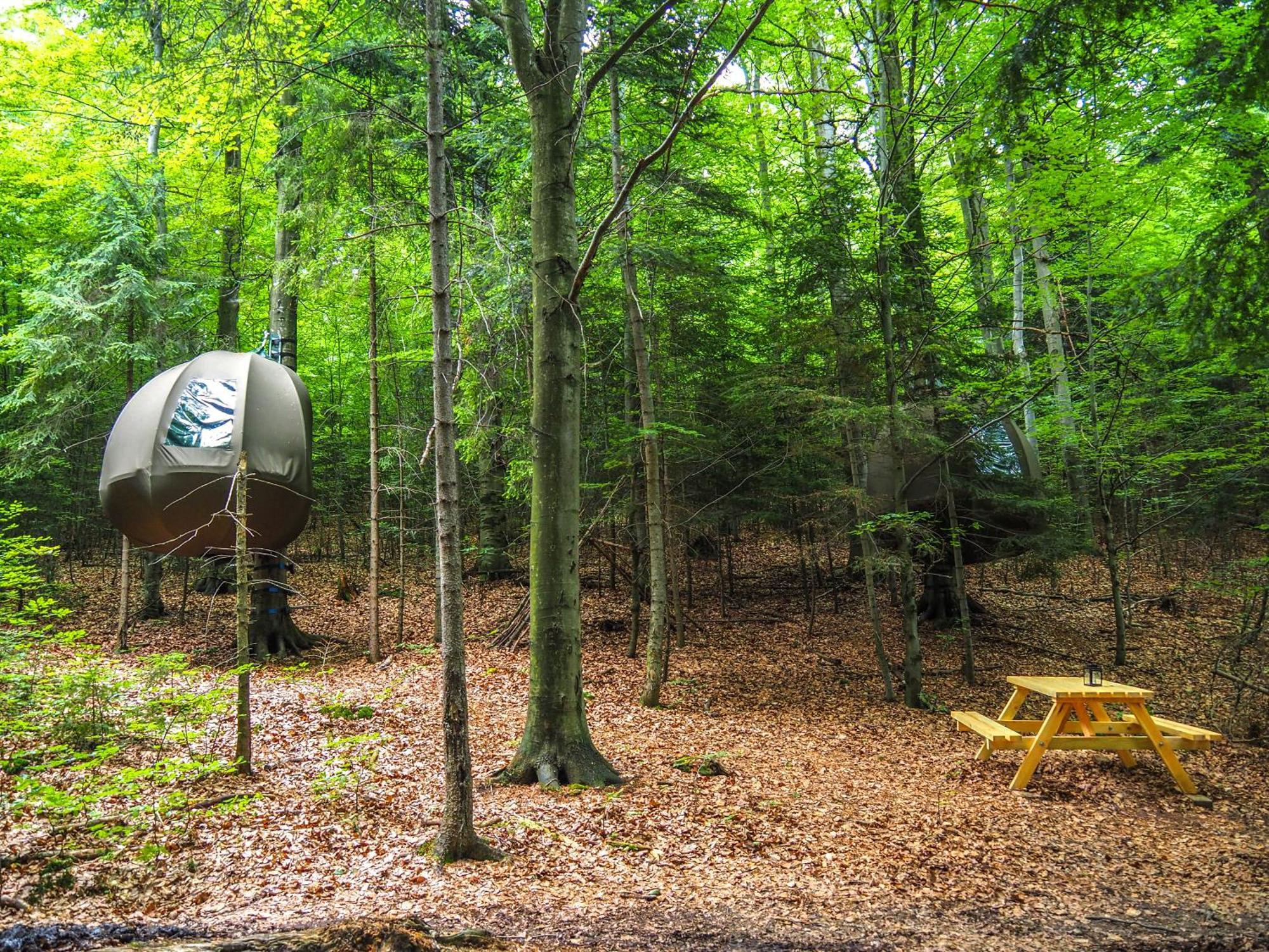 Luxury tent Wisilas Nad Sercowym Potokiem Rabka